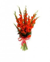 Bright bouquet of orange gladiolus