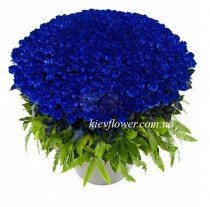 Кошик з 101 синьої троянди 